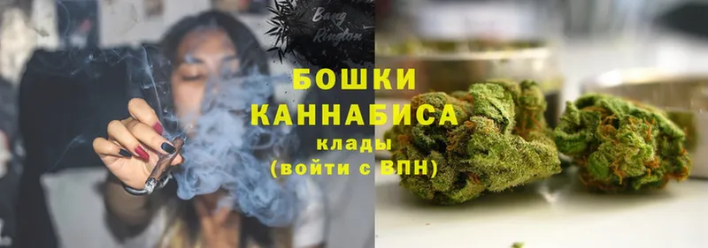 продажа наркотиков  Пятигорск  это наркотические препараты  Бошки Шишки Bruce Banner 